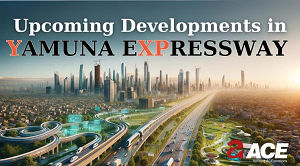 REAL ESTATE - NOIDA